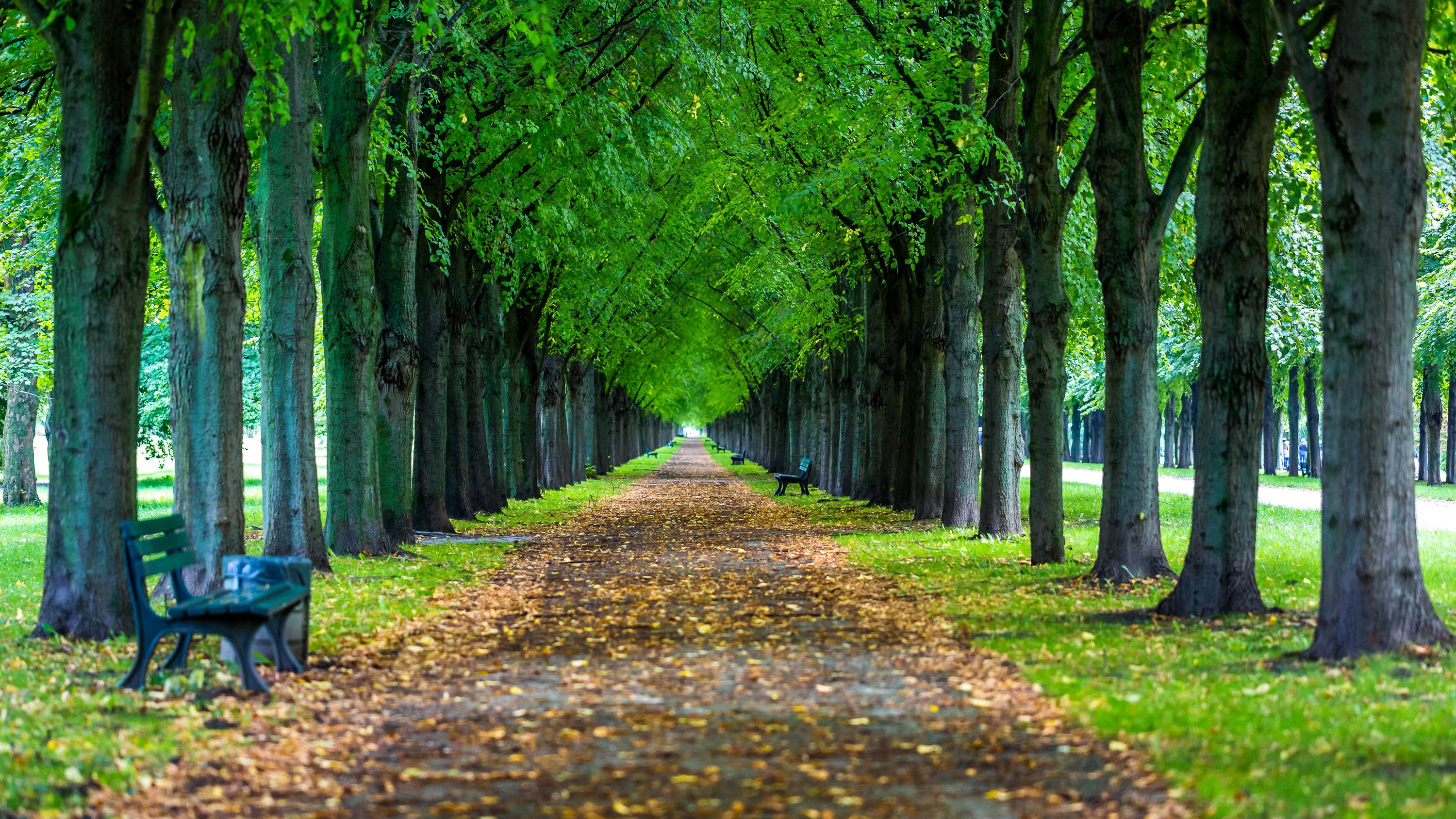 Humility builds lasting confidence